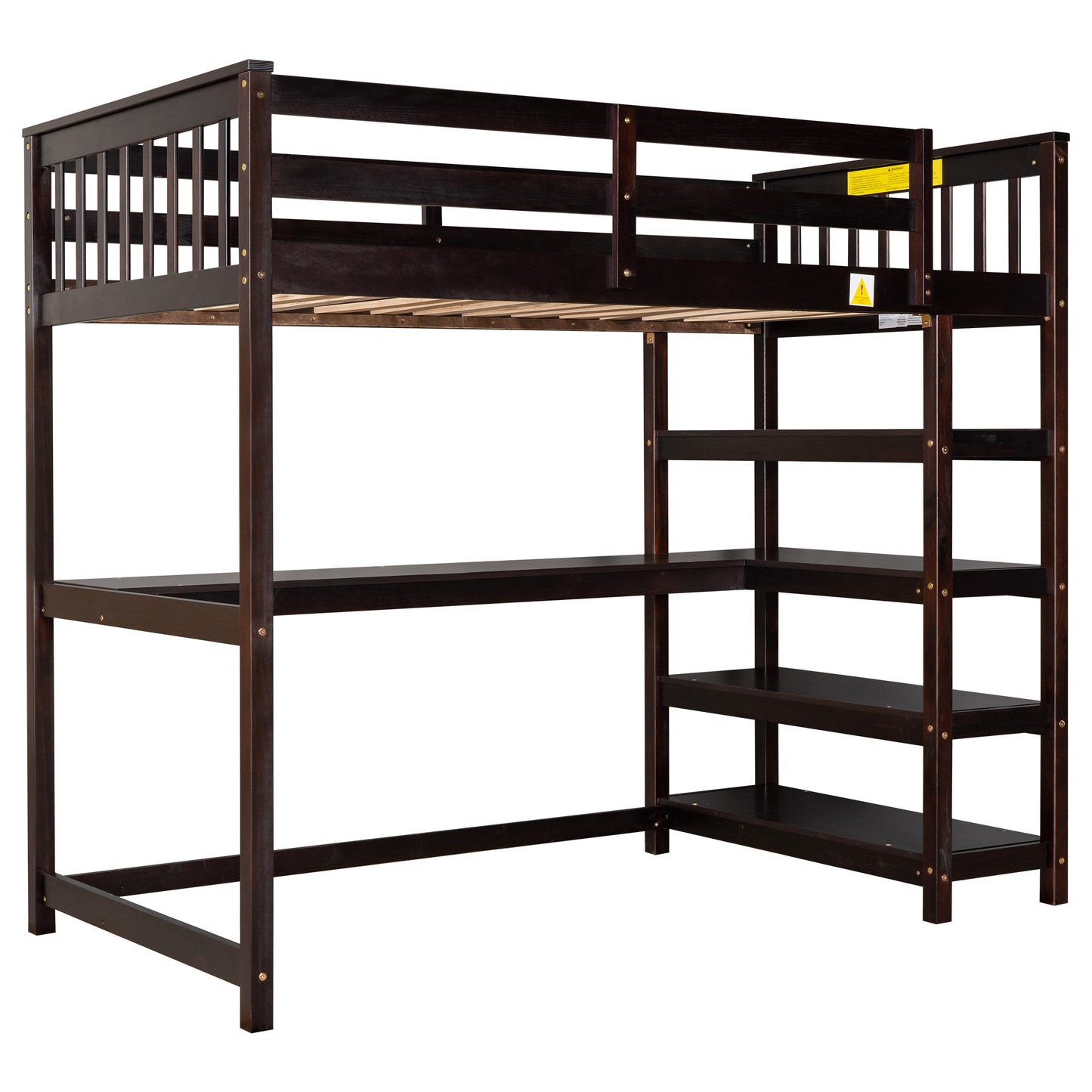 24537372