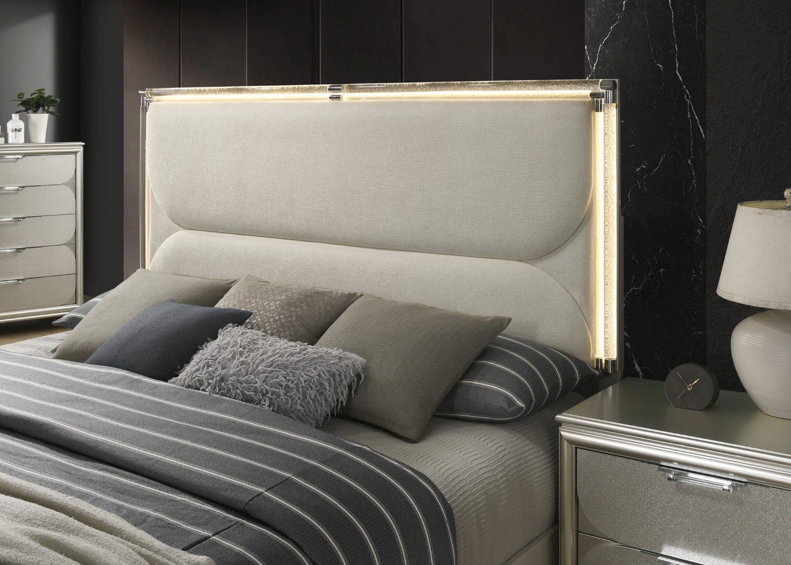 24559094