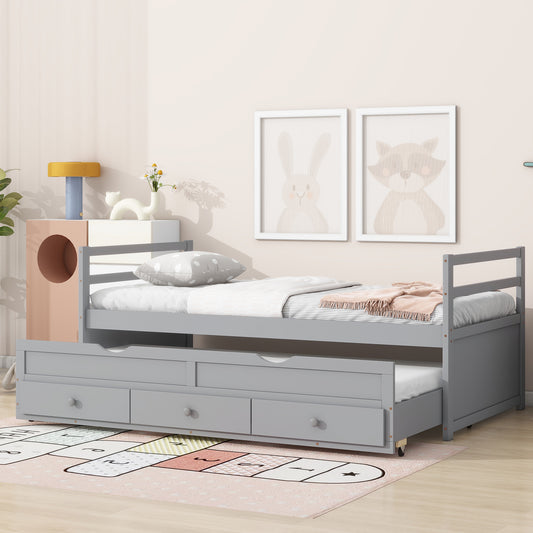 24534379