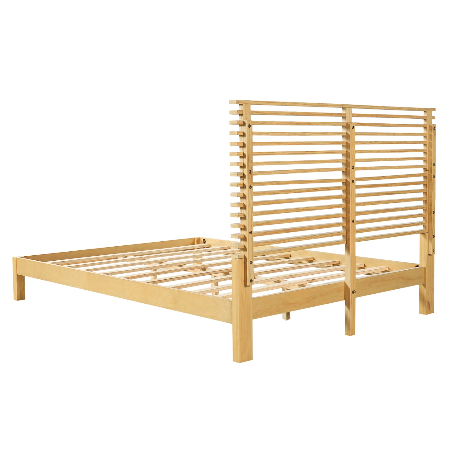 24540528