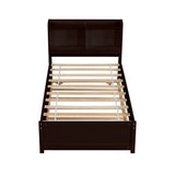 Contemporary Minimalistic Twin Bed with Trundle, Bookcase, Espresso, Pine & Plywood