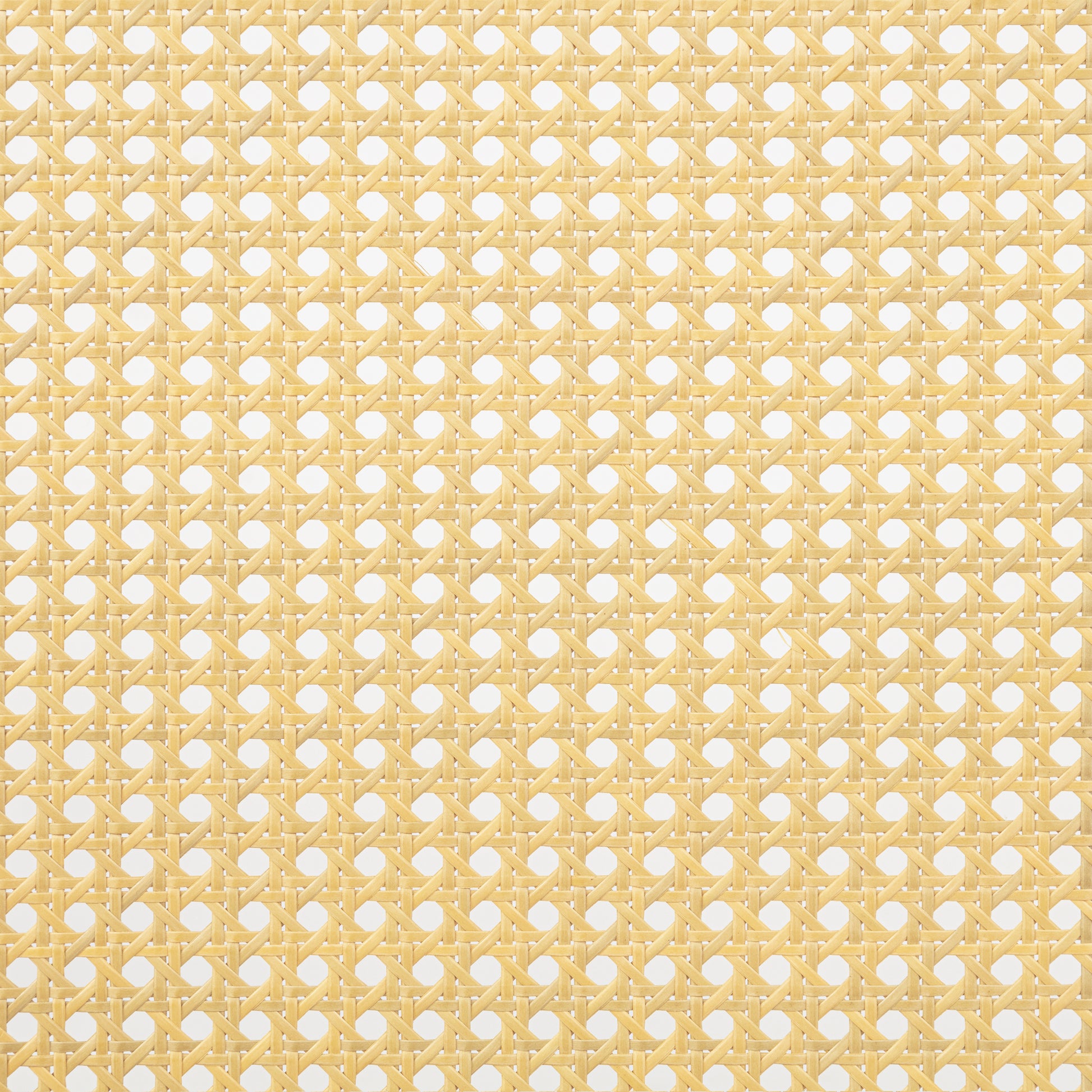 24537111