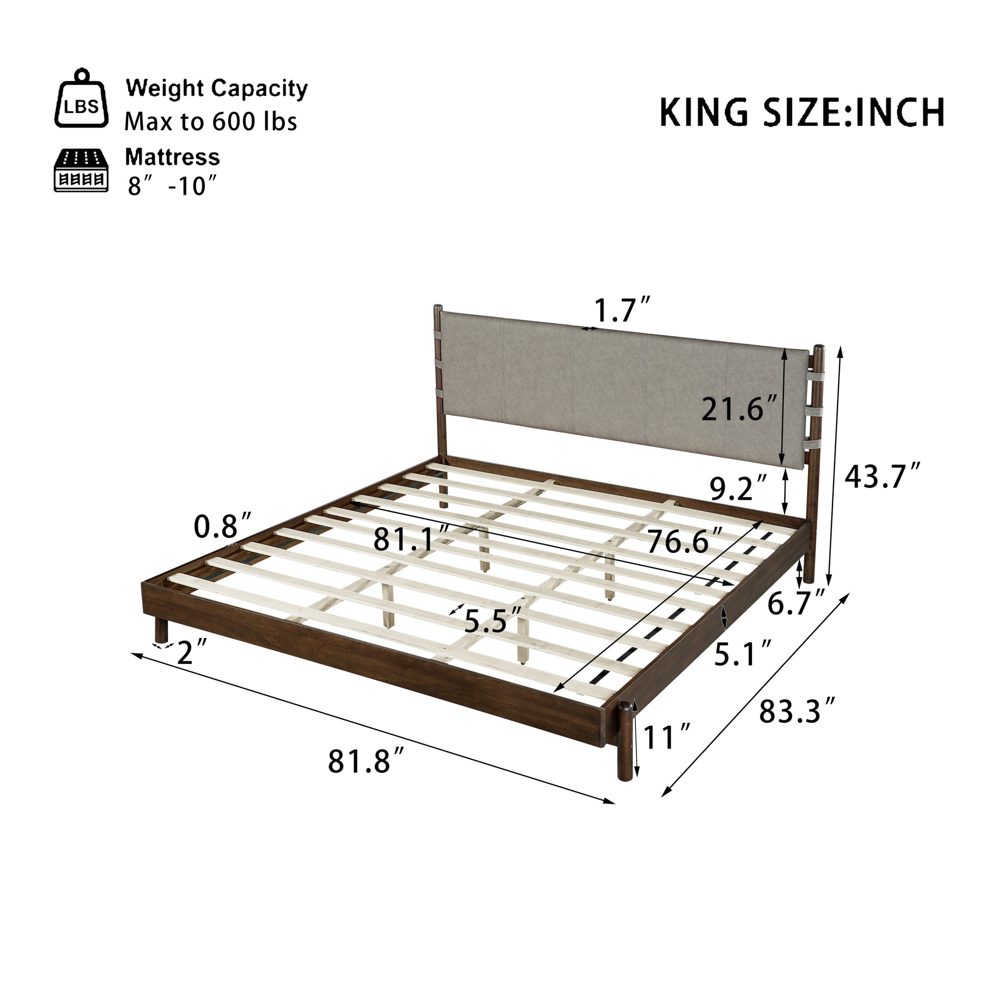 24555846