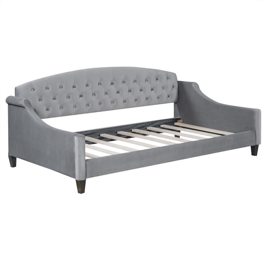 Modern Luxury Tufted Button Daybed, Twin, Gray Velvet Upholstered with Plywood Frame and Foam Padding