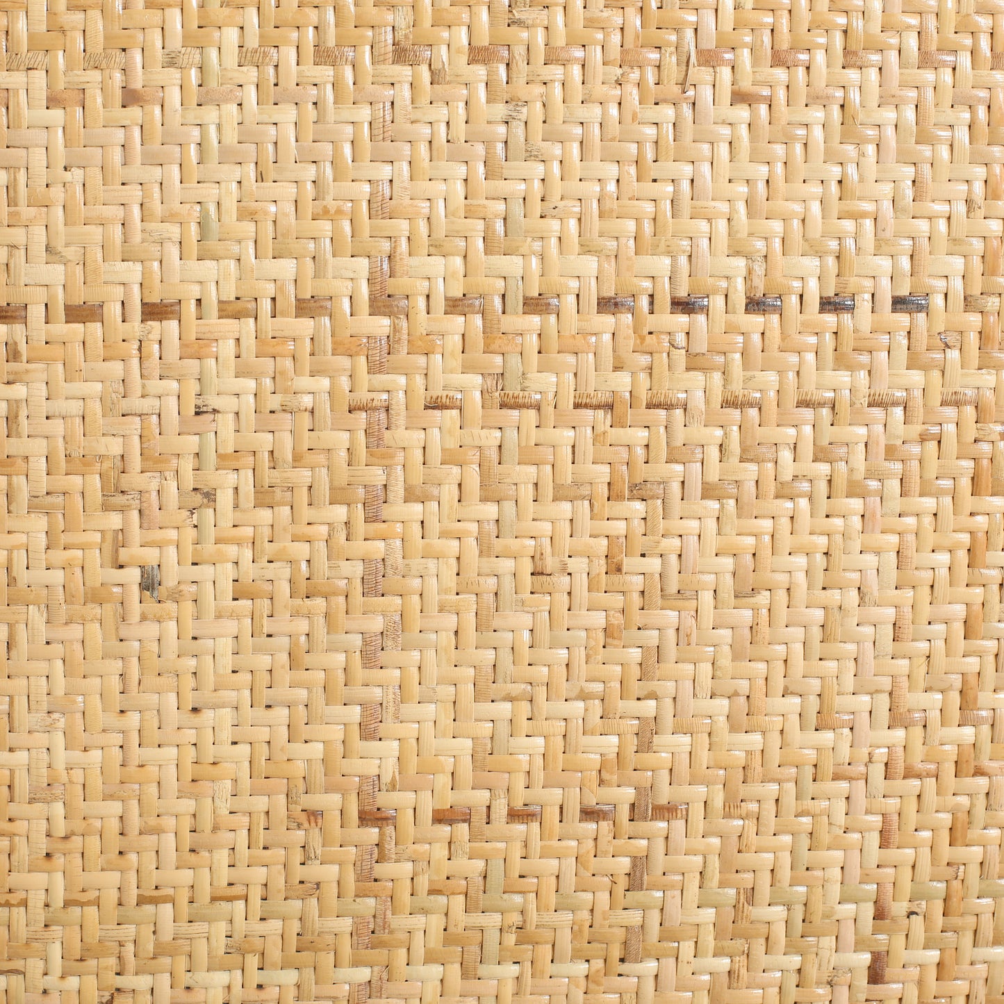 24491884