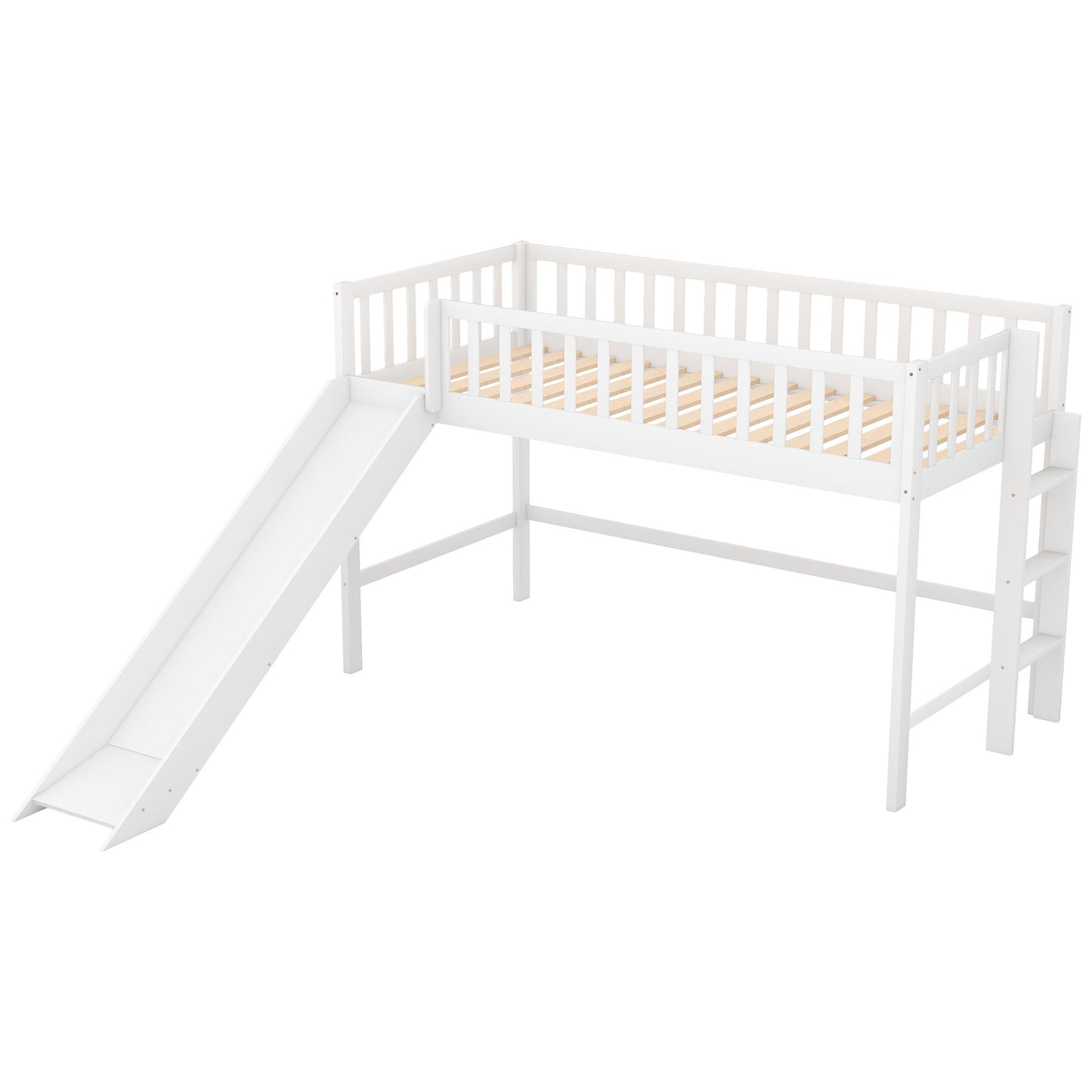 24536299