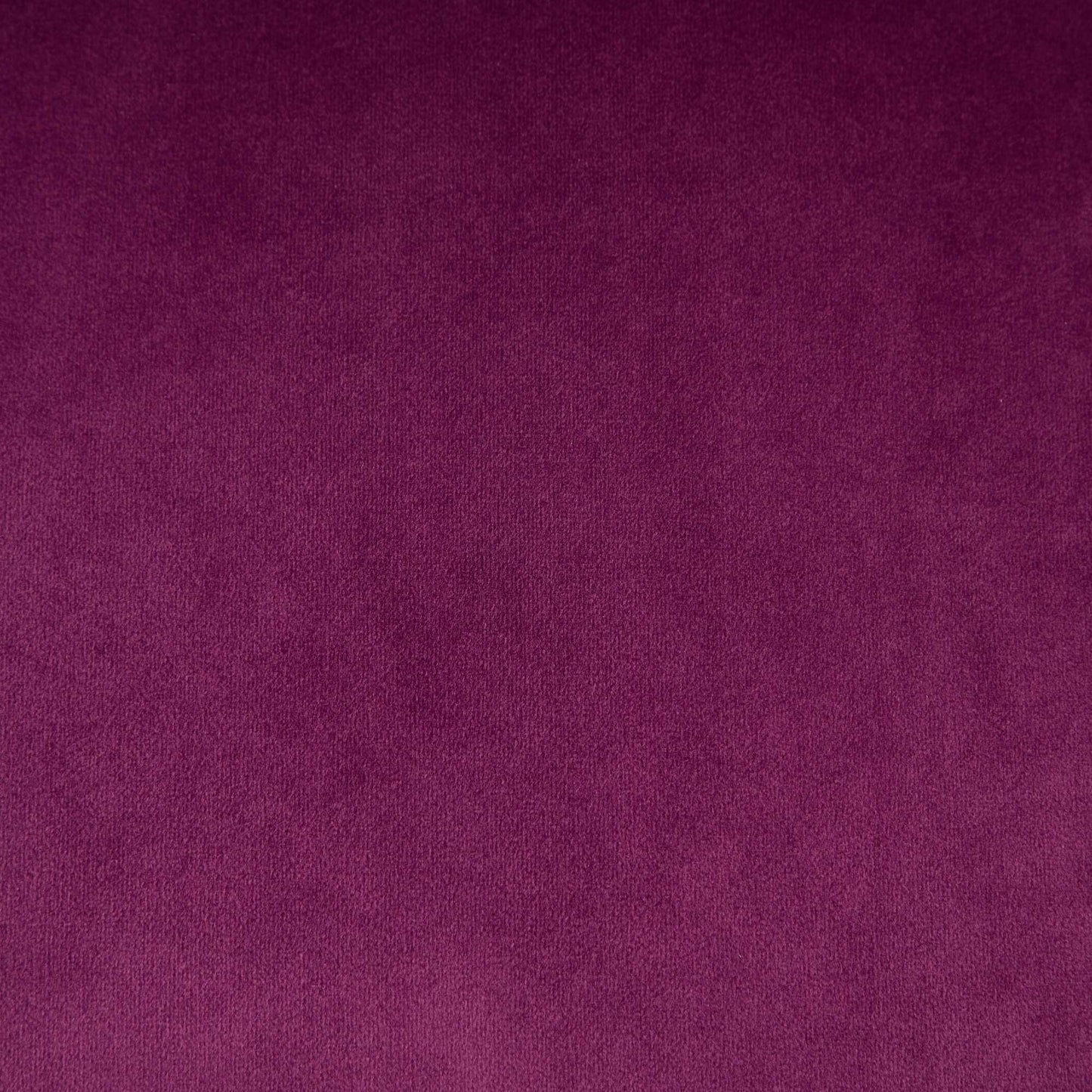 24463028