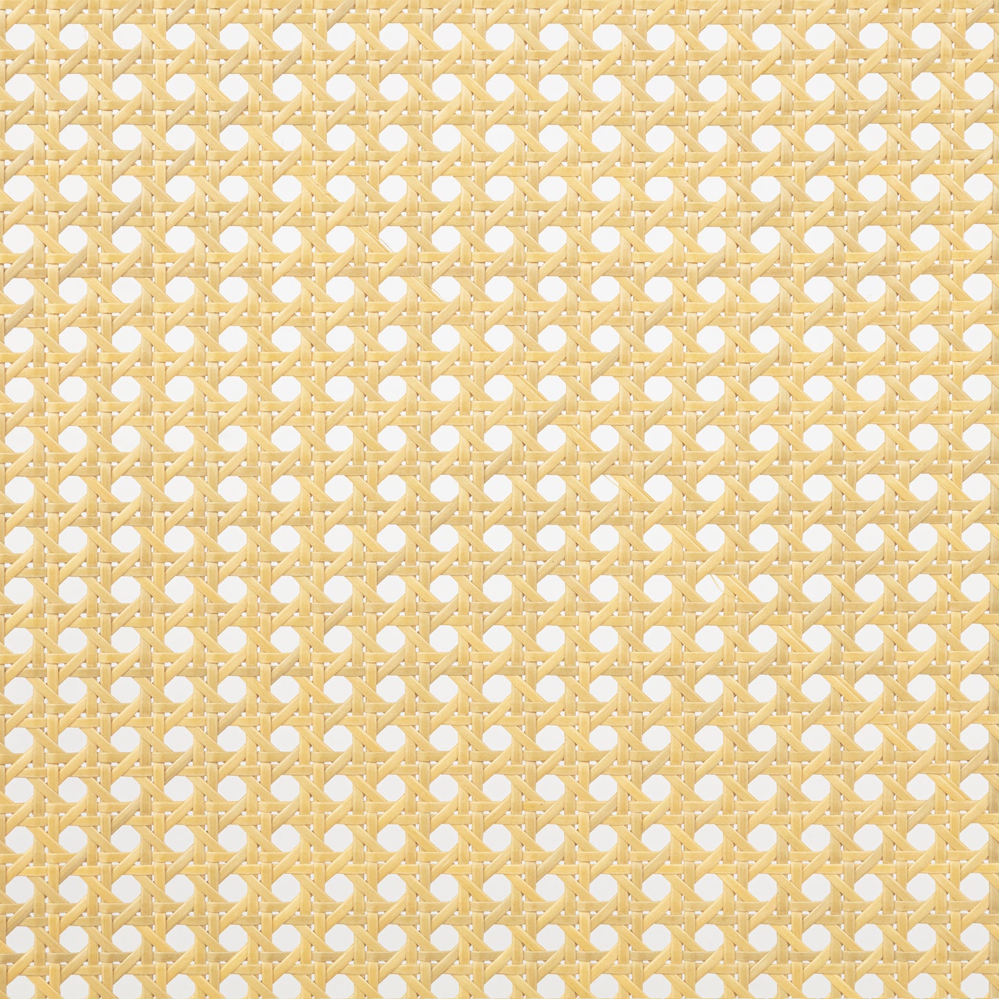 24541939