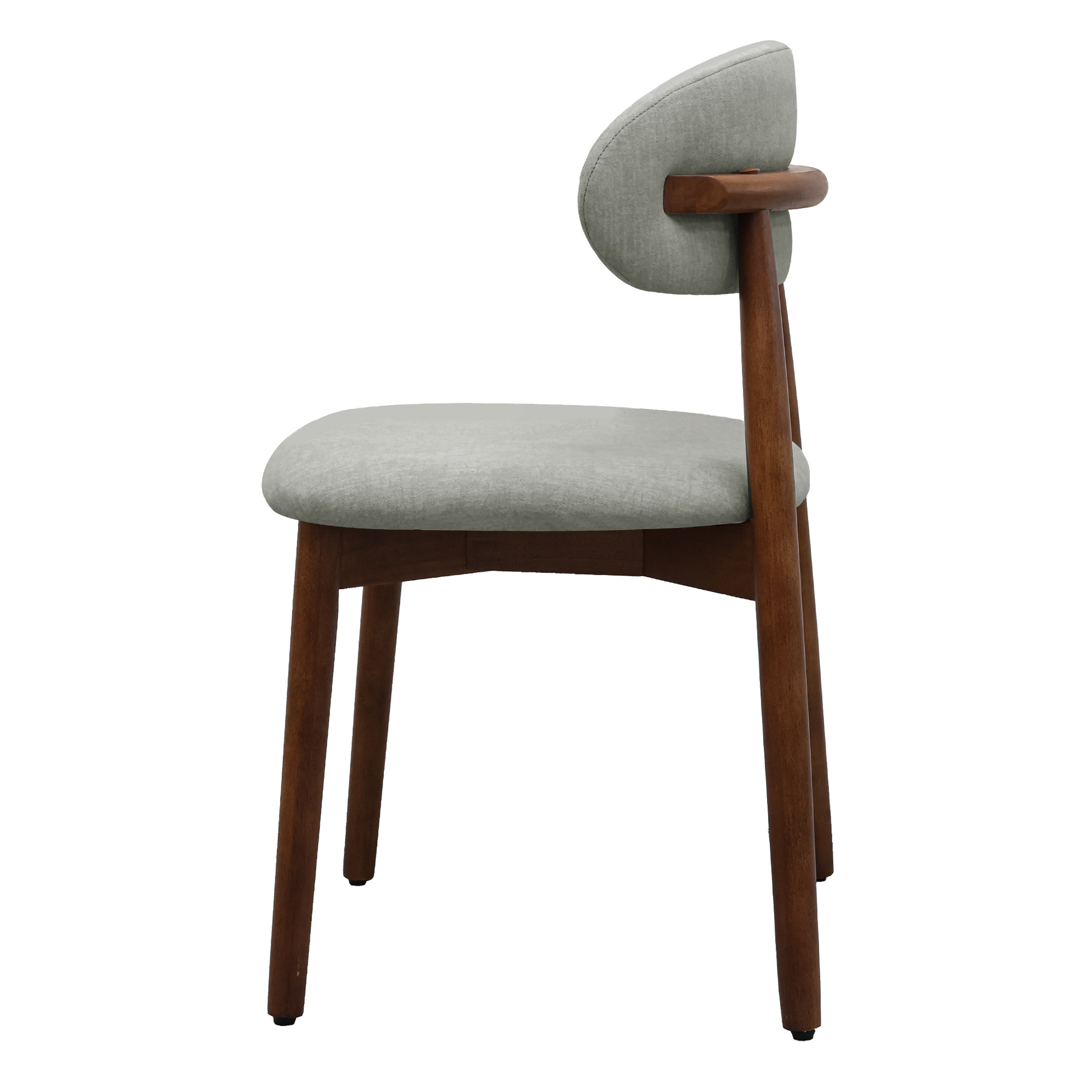 24495521