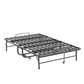 24534300