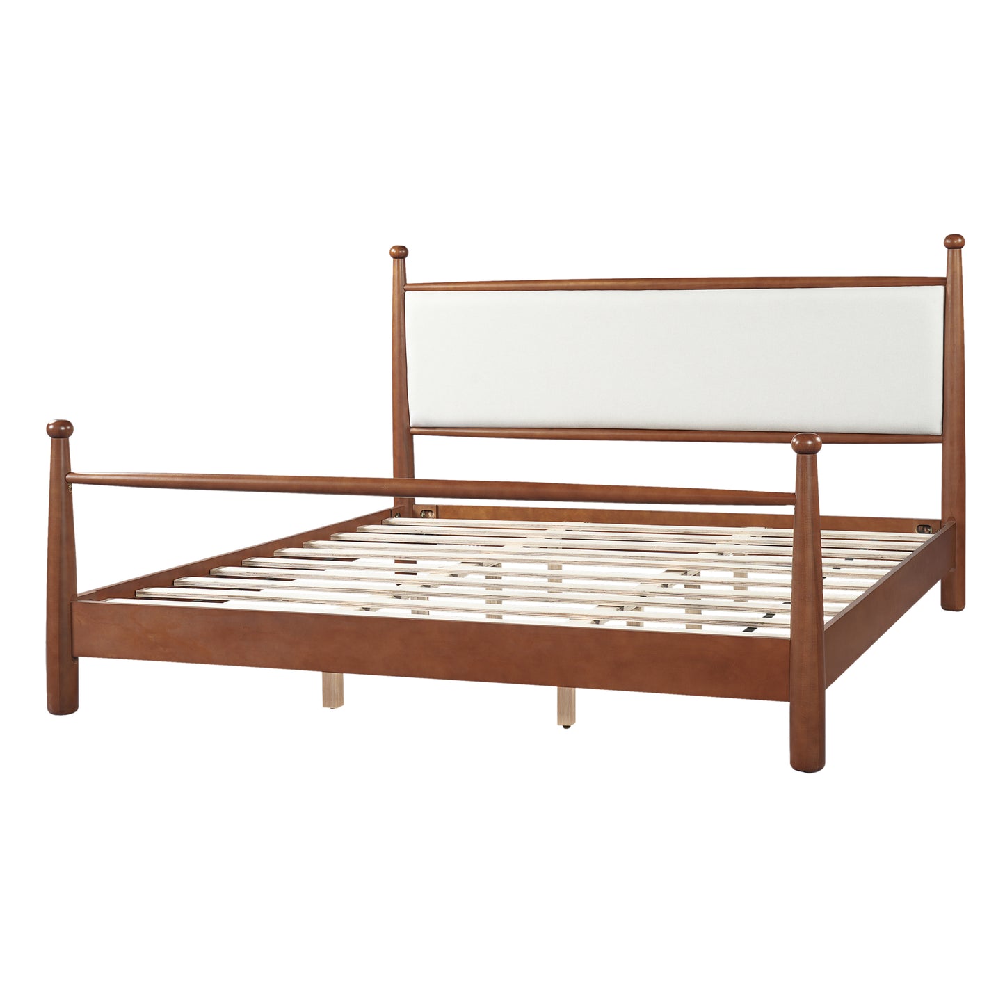 24539394