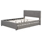 24536116