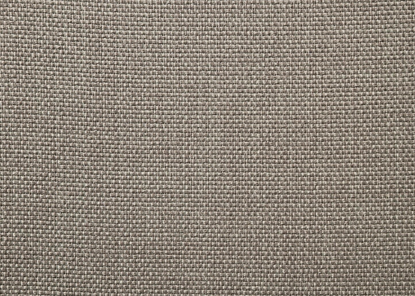 24501006