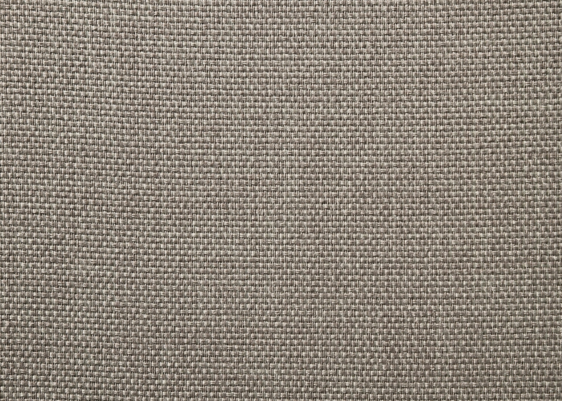 24501006