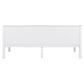 24537971