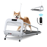2025 New Quiet Smart Pet Treadmill, Adjustable Speed, Perfect for Small/Medium Dogs