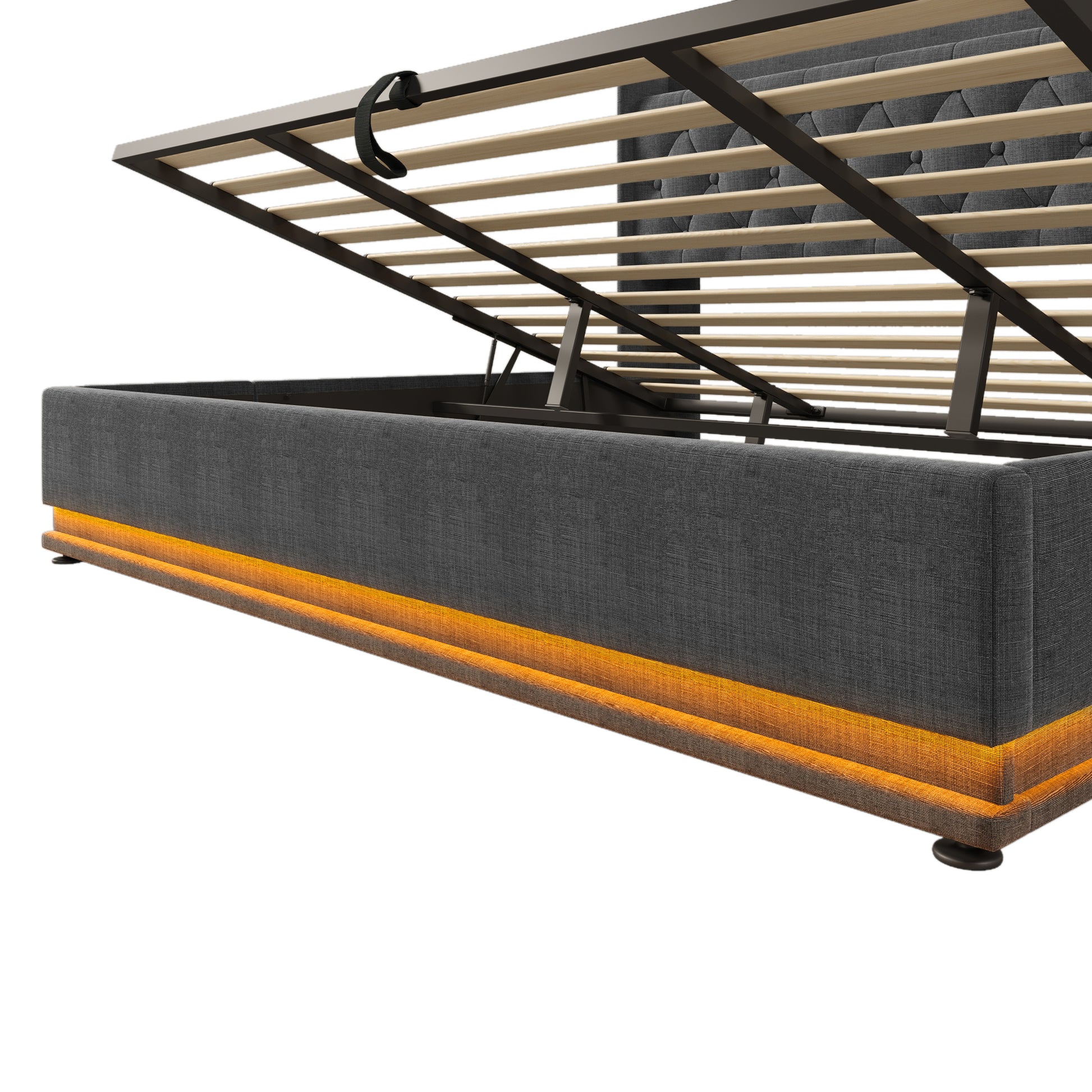 24093003