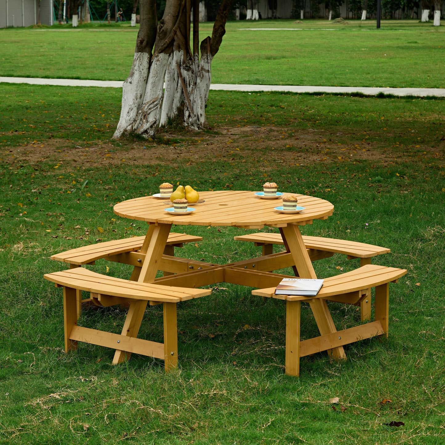 24570775