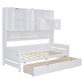24537497