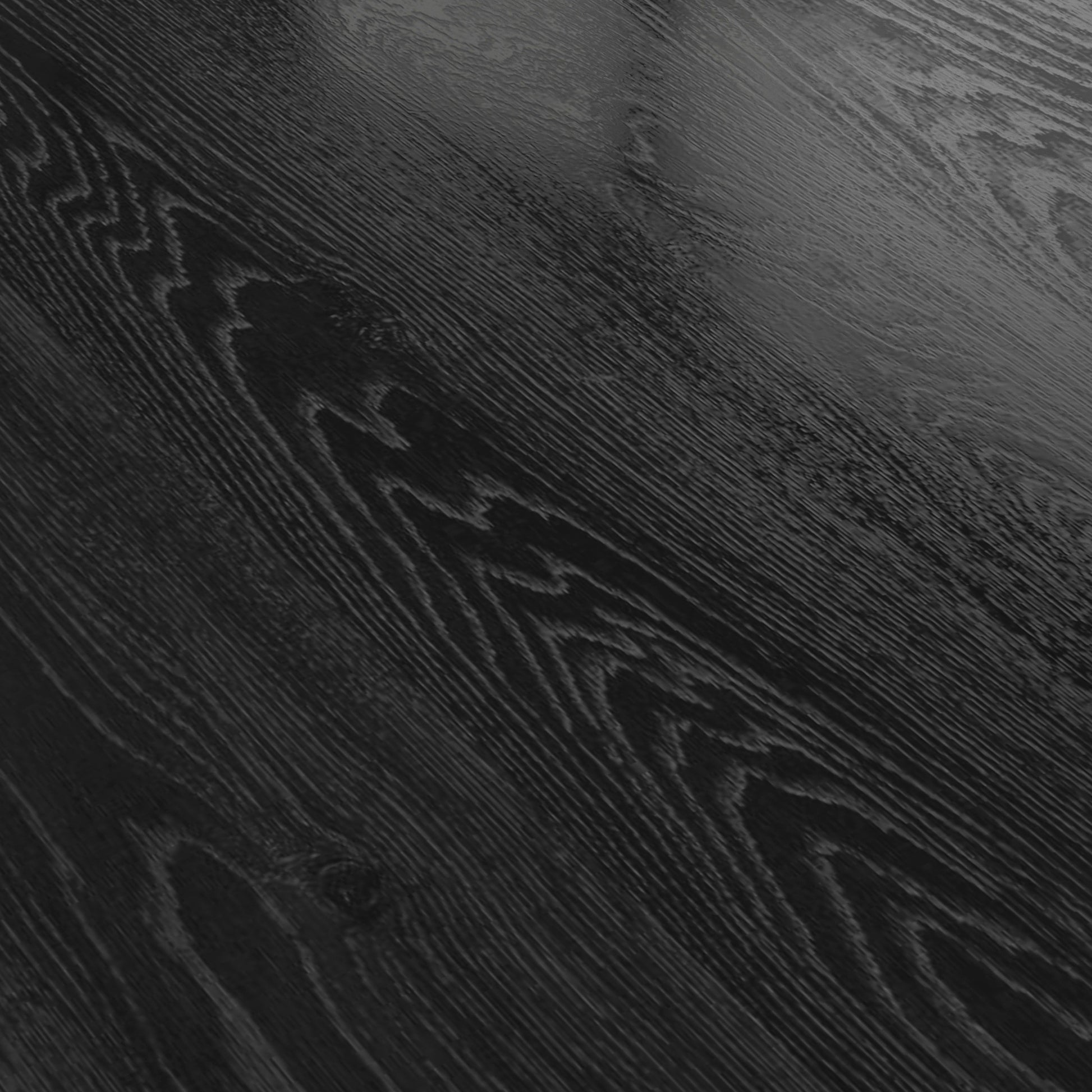 24501854