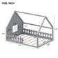 24534669