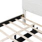 24535823