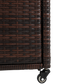 24520393