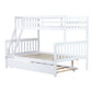 24540018