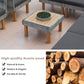 24569402