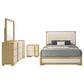 24558431