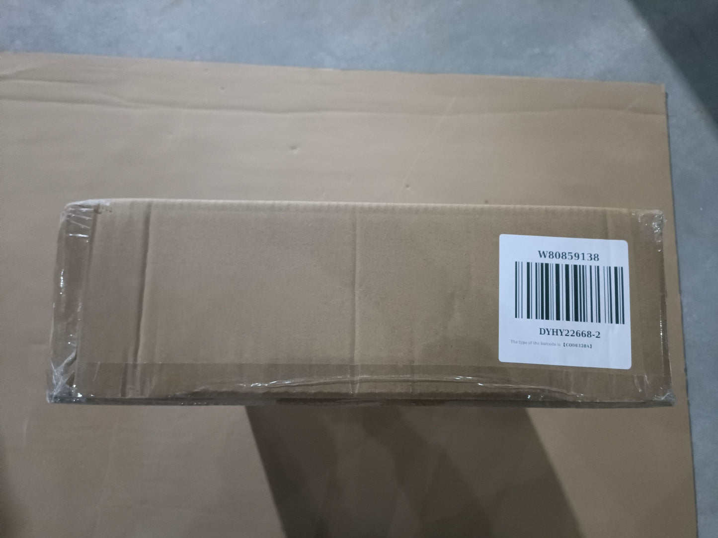 24551481