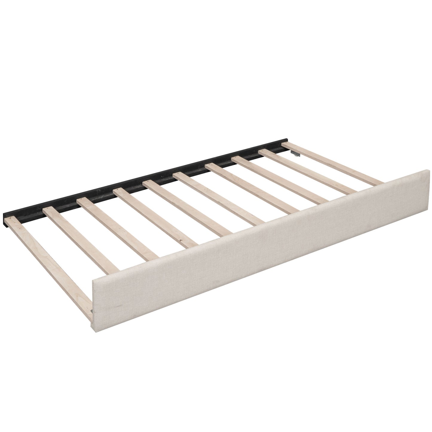 24537884