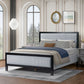24538141
