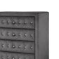 24558382