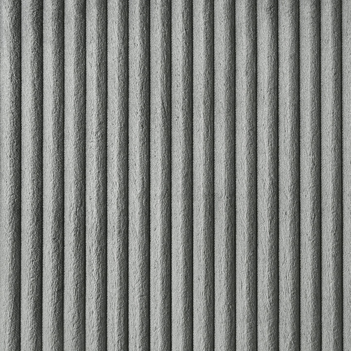 24558969
