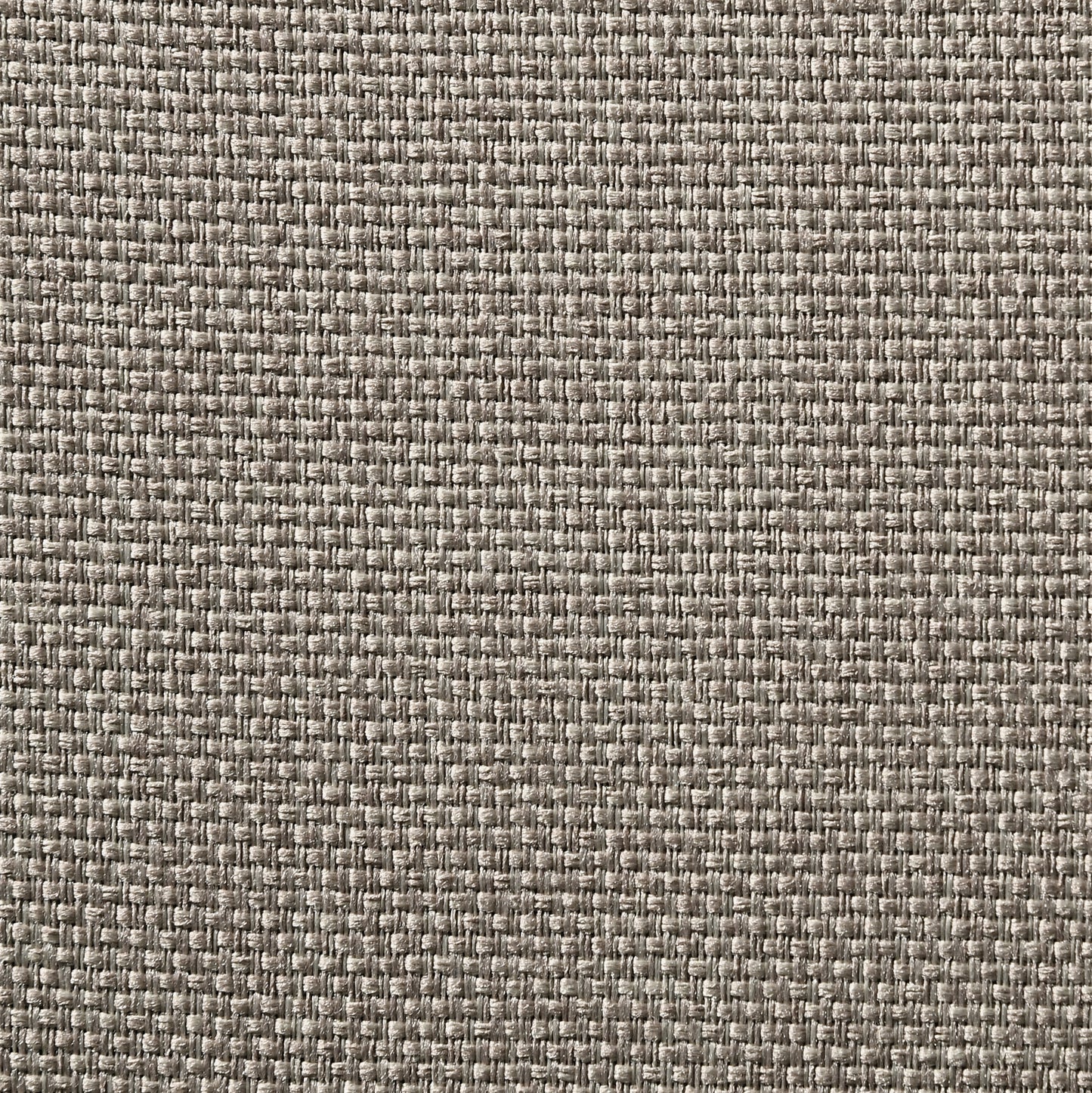 24501007
