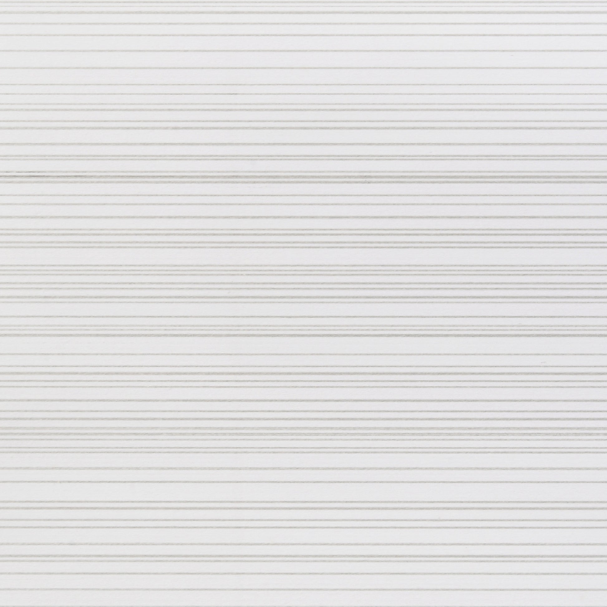 24555129